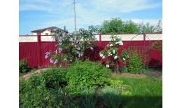 Крышка универсальная RAL 3005