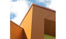 Вертикаль 0,2 prof 0,45 Drap с пленкой RAL 8017 шоколад