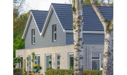 Сайдинг CEDRAL click wood (под дерево) С51