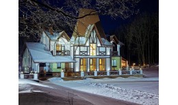 Лист Metrotile MetroBond айрон-барк