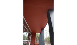 Вертикаль 0,2 classic 0,5 Satin Matt с пленкой RAL 8004 терракота