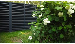 Ламель жалюзи Milan new 0,5 GreenCoat Pural BT, matt с пленкой RR2H3 (RAL 7016 антрацитово-серый)