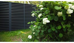 Ламель жалюзи Milan new 0,5 GreenCoat Pural BT, matt с пленкой RR2H3 (RAL 7016 антрацитово-серый)