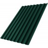 Профнастил С20B Grand Line 0,45 Drap с пленкой RAL 6005 зеленый мох