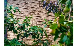 Панель фасадная Grand Line "ЯФАСАД" Крымский сланец янтарь